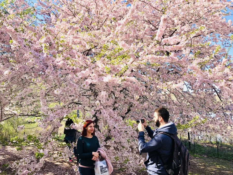 IMG_3121.jpg?type=w966