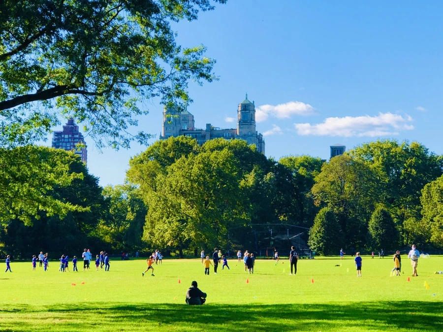 IMG_1698.jpg?type=w966