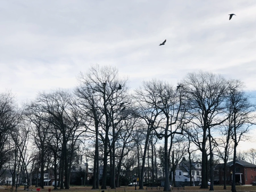 IMG_4761.jpg?type=w966