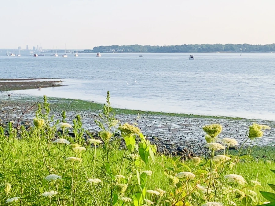 IMG_9827.jpg?type=w966