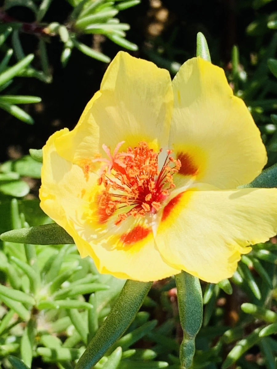 IMG_8381.jpg?type=w966