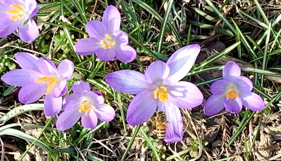 IMG_0228.jpg?type=w966