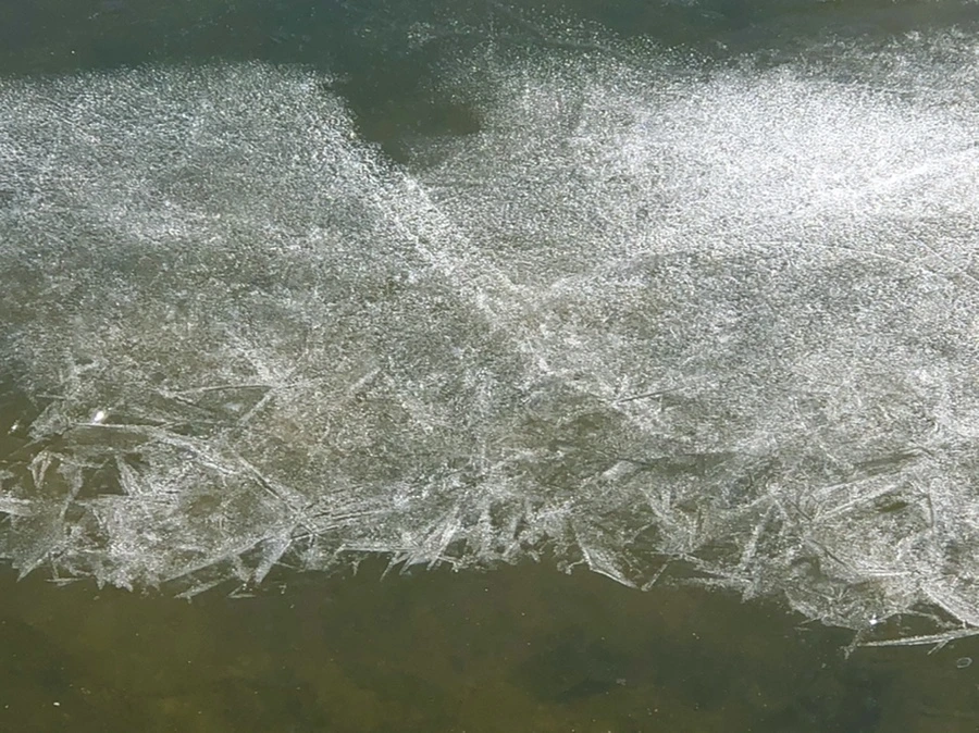 IMG_7902.jpg?type=w966