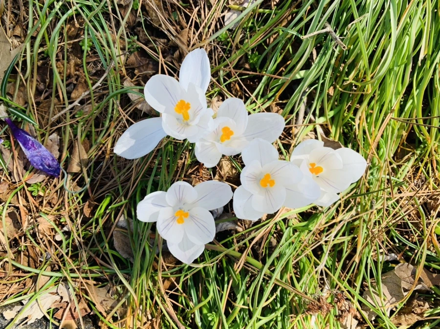 IMG_4372.jpg?type=w966