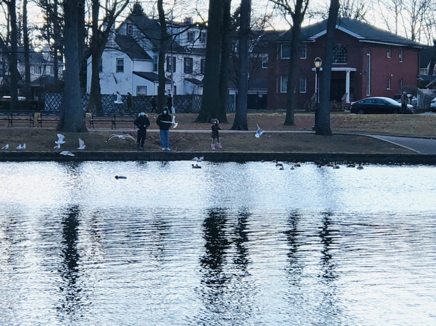 IMG_4204.jpg?type=w966