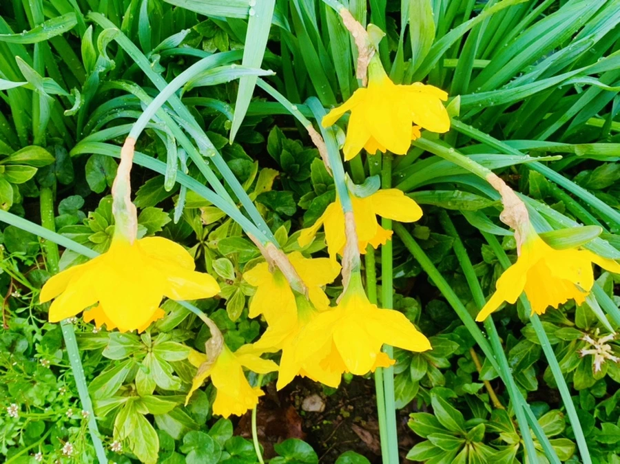 IMG_6083.jpg?type=w966