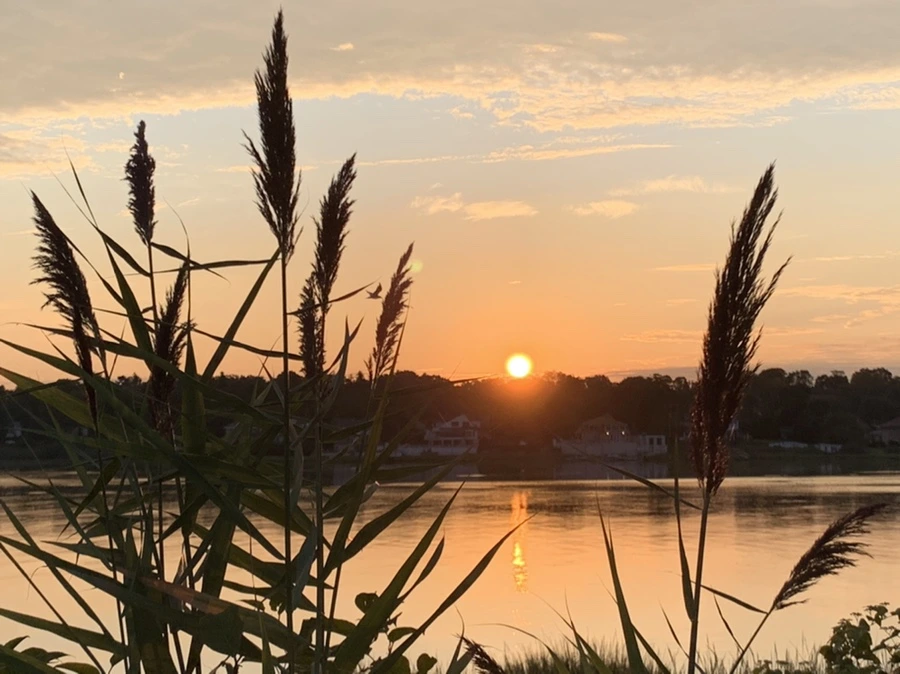 IMG_1279.jpg?type=w966