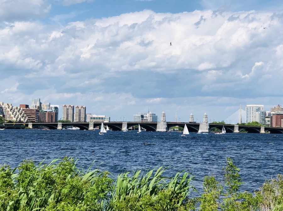 IMG_5239.jpg?type=w966