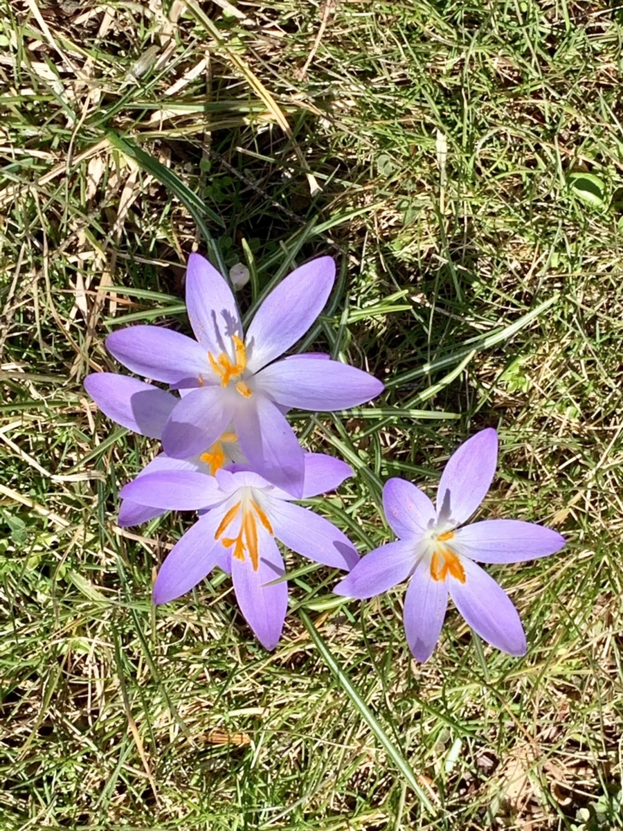 IMG_9201.jpg?type=w966