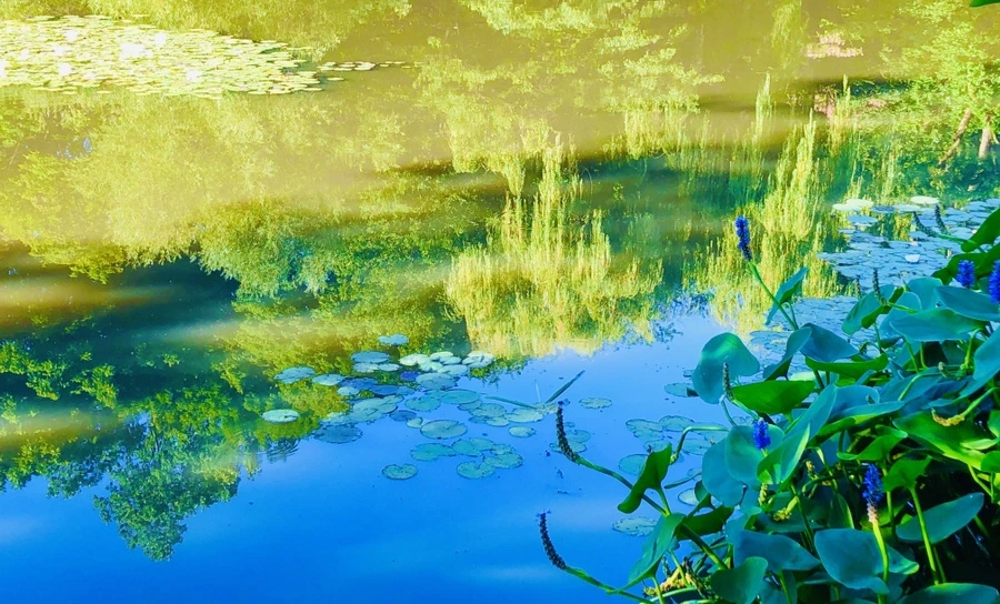 IMG_3888.jpg?type=w966