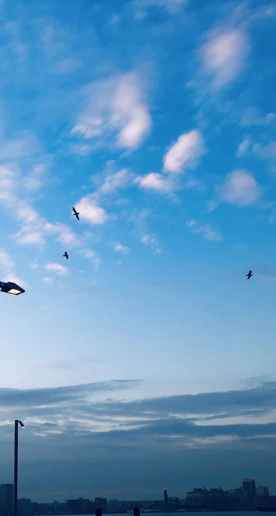 IMG_3074.jpg?type=w966