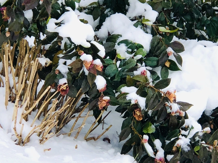 IMG_9075.jpg?type=w966