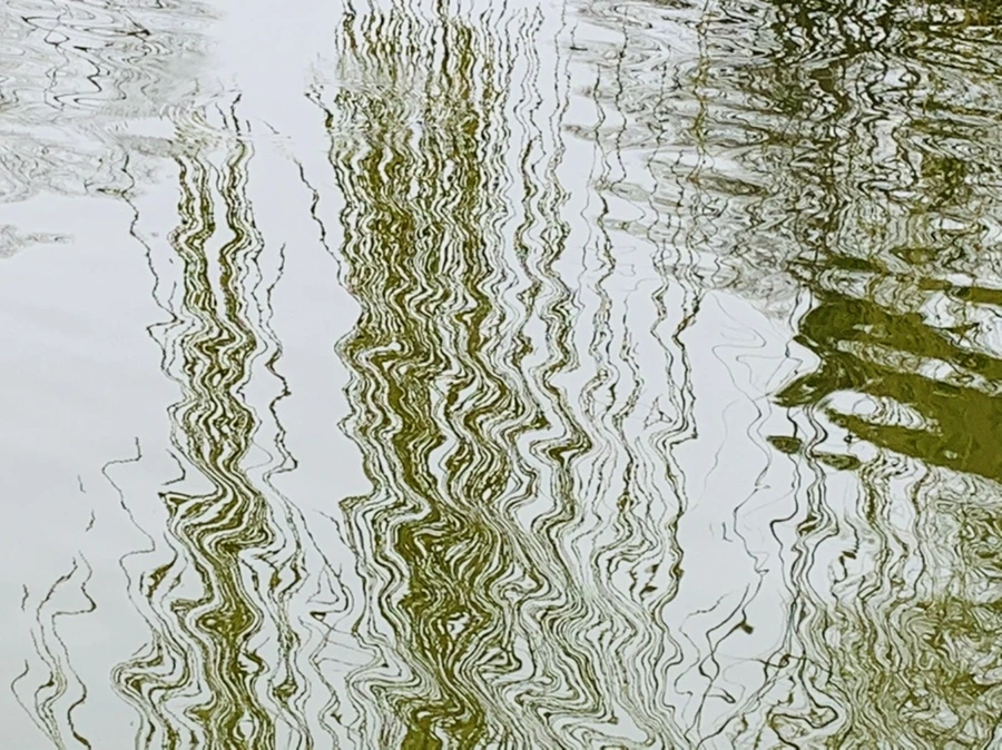 IMG_3834.jpg?type=w966