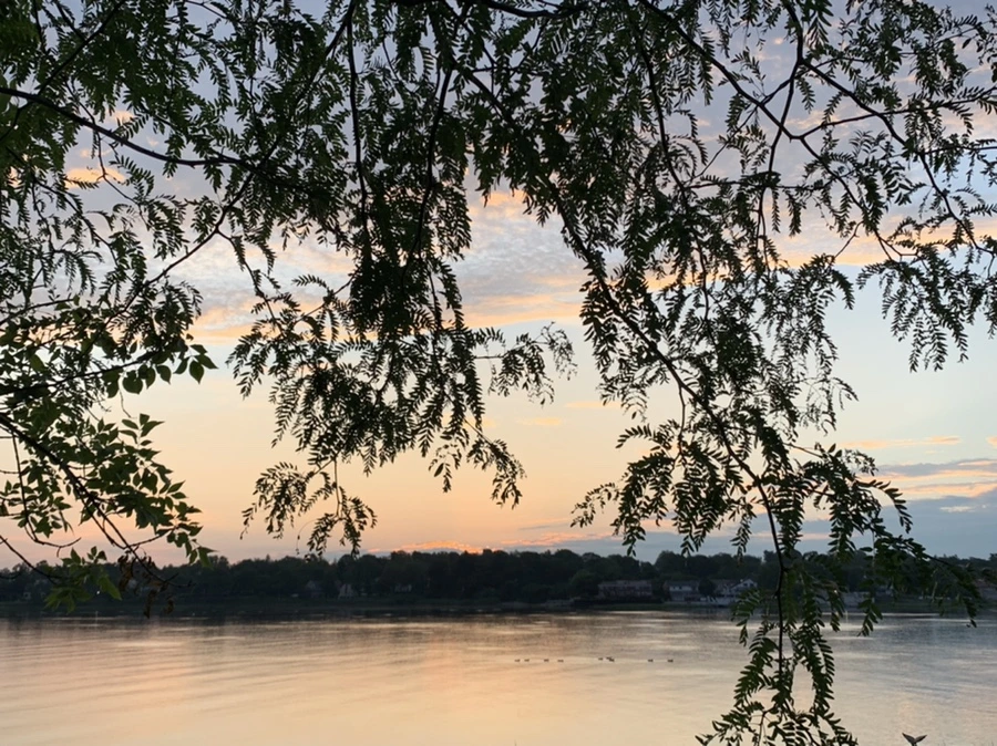 IMG_1213.jpg?type=w966