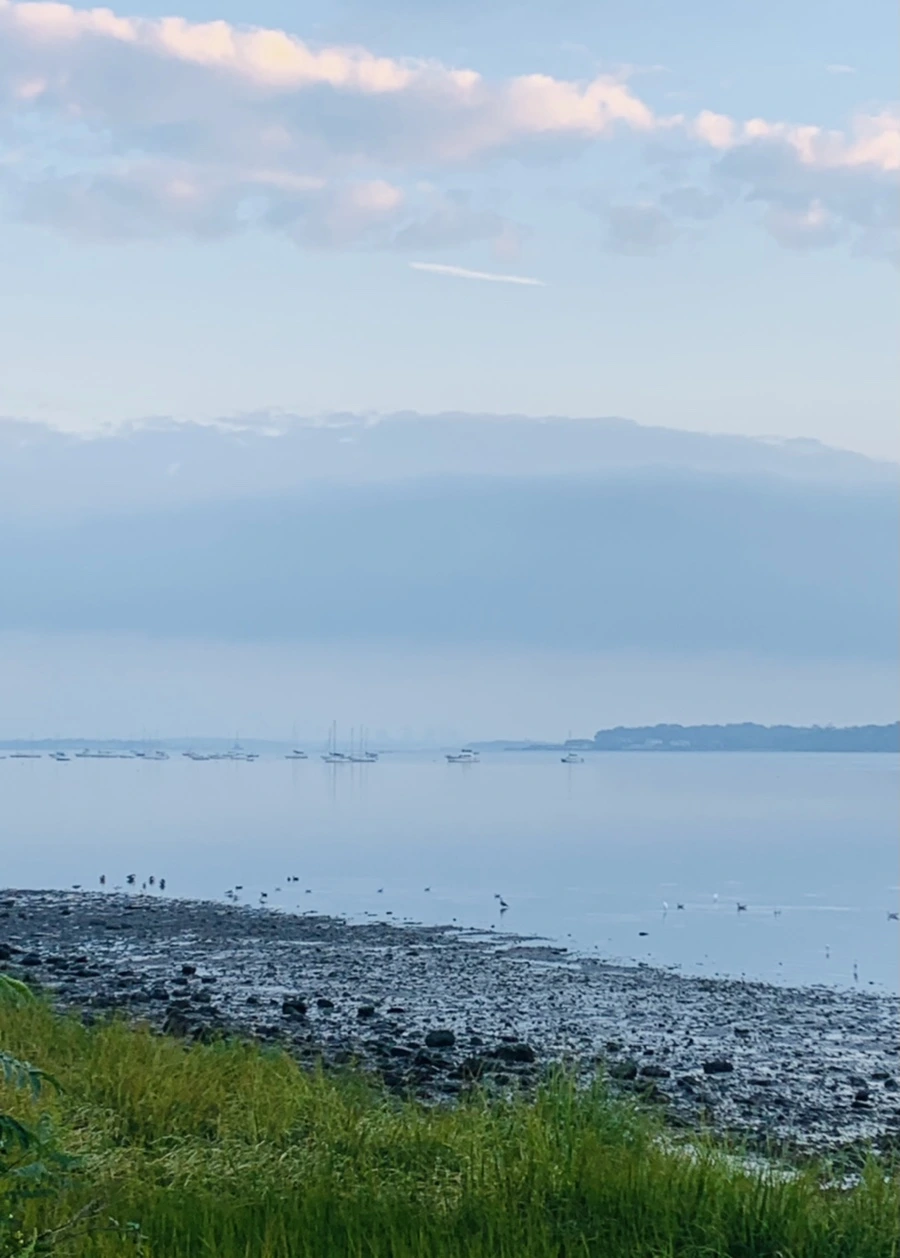 IMG_8183.jpg?type=w966