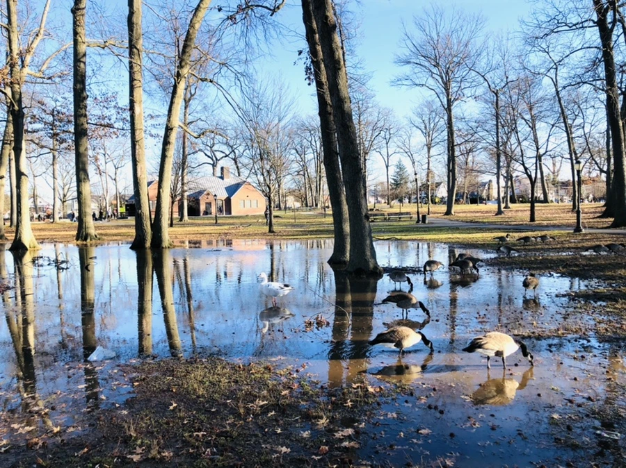 IMG_9290.jpg?type=w966