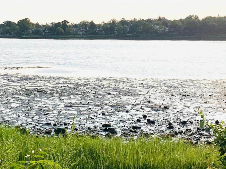 IMG_9816.jpg?type=w966