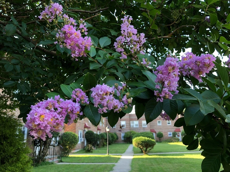 IMG_3799.jpg?type=w966