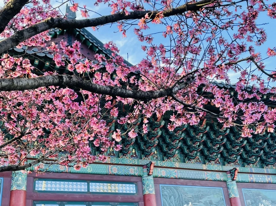 IMG_6101.jpg?type=w966