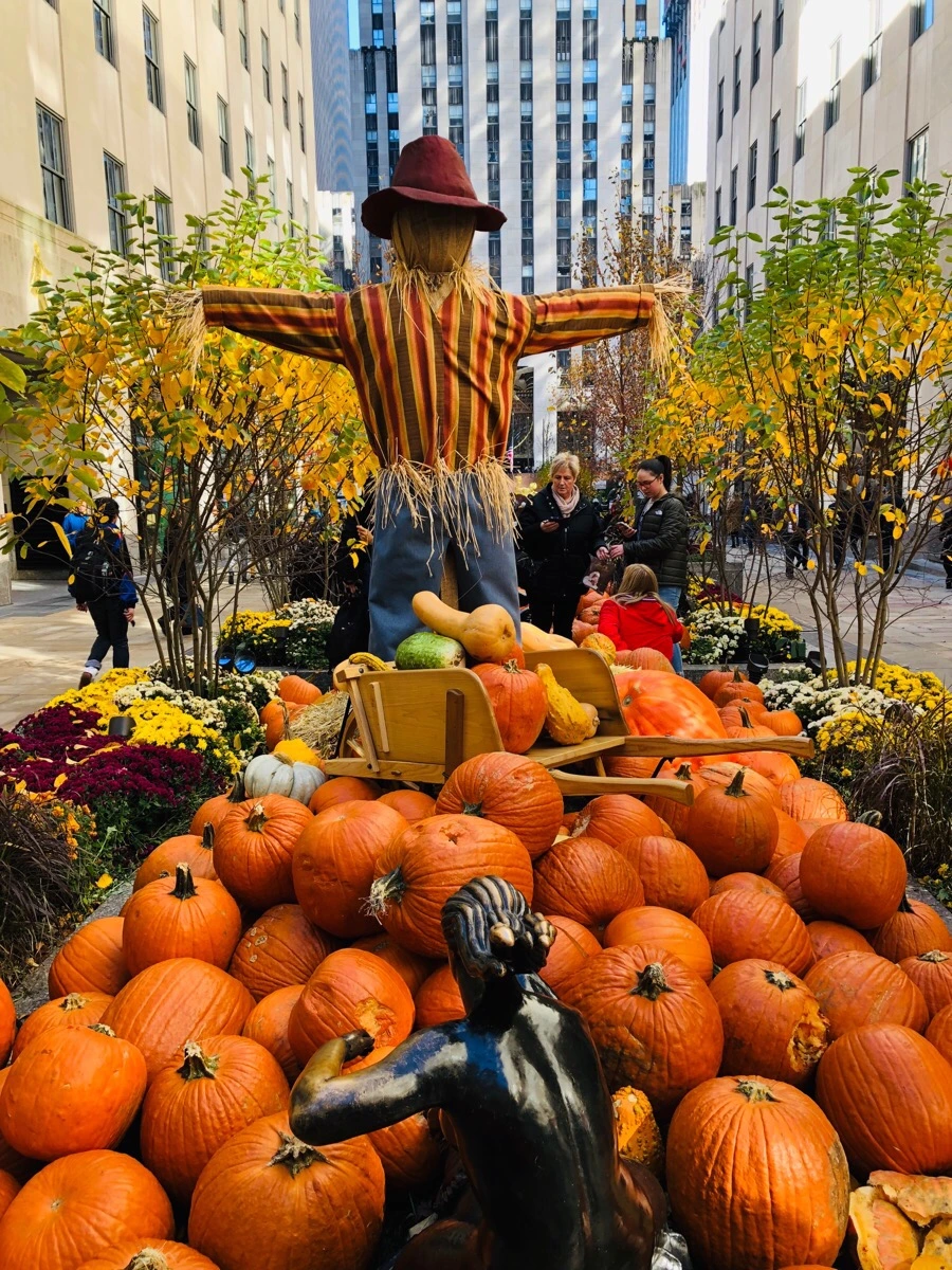 IMG_7179.jpg?type=w966