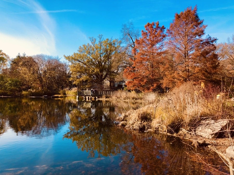 os-VkEPJ2E1STdCGDrEsGZ6TvKs