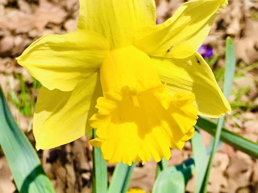 IMG_3166.jpg?type=w966