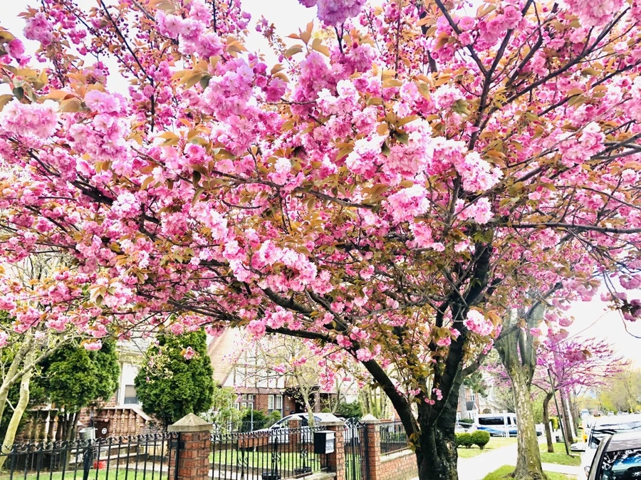 IMG_7128.jpg?type=w966