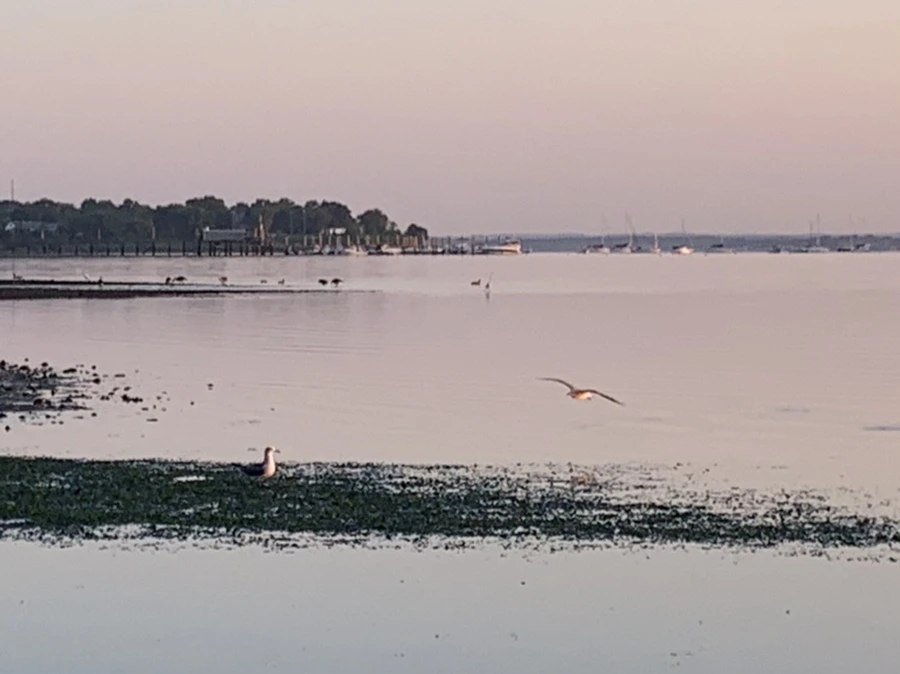 IMG_0175.jpg?type=w966