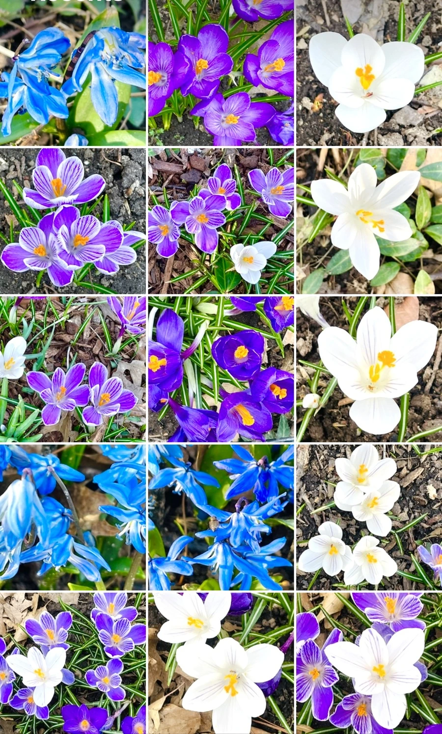 IMG_6006.jpg?type=w966