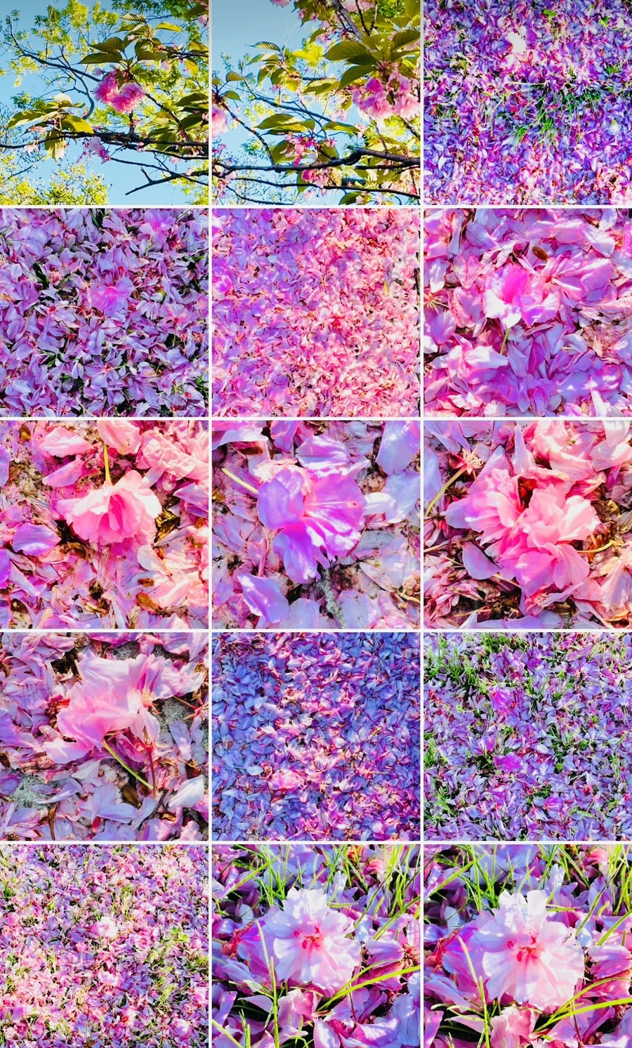 IMG_6193.jpg?type=w966