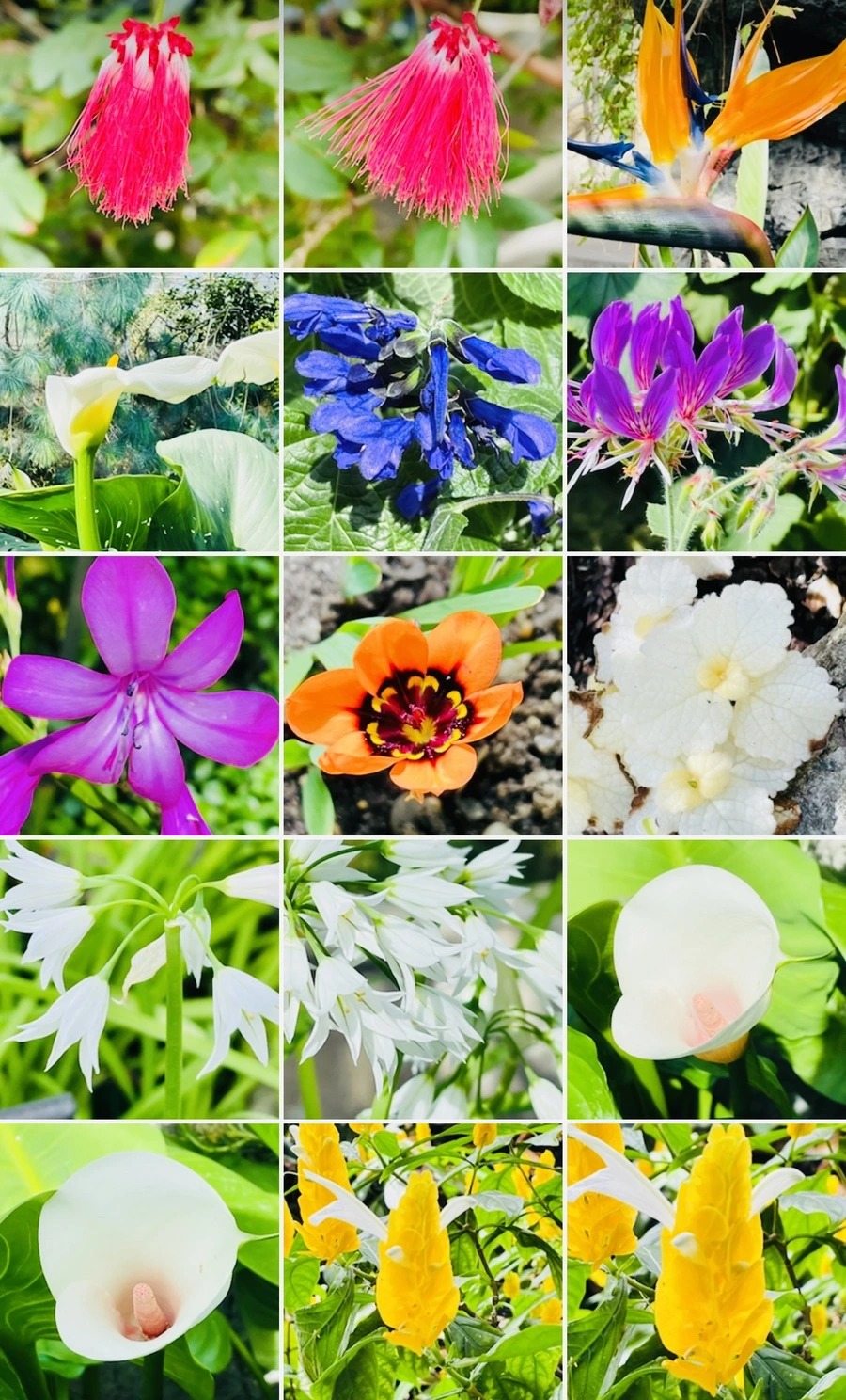 IMG_4264.jpg?type=w966