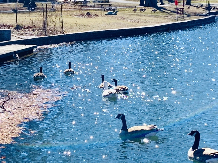 IMG_7524.jpg?type=w966