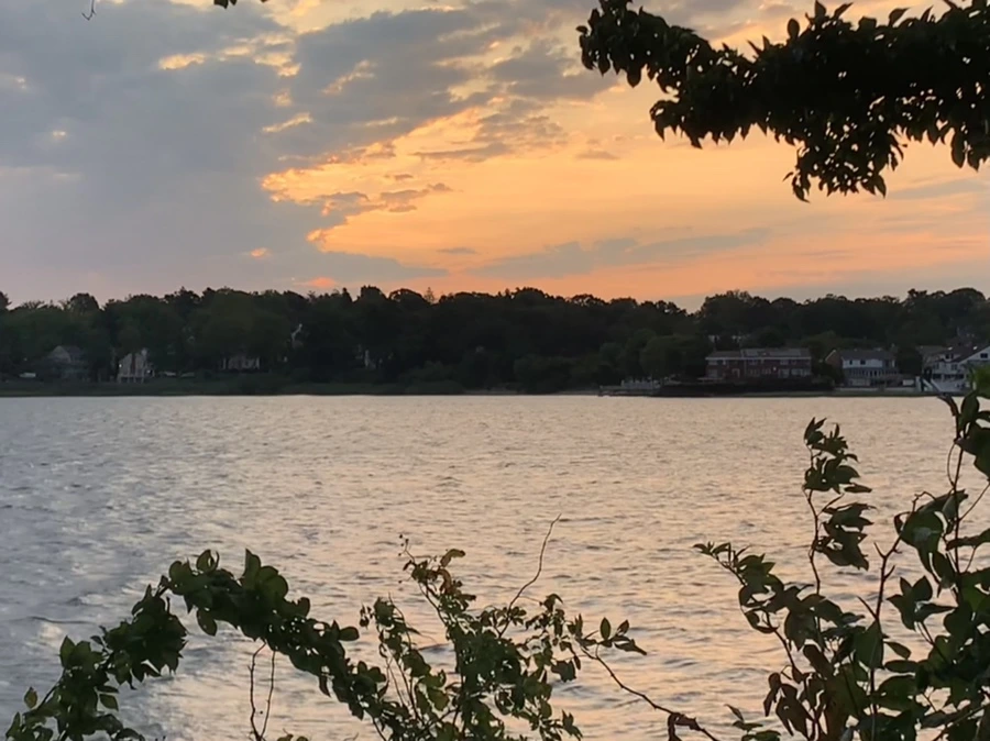 IMG_1702.jpg?type=w966