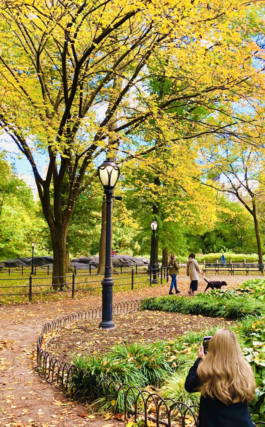 IMG_2999.jpg?type=w966