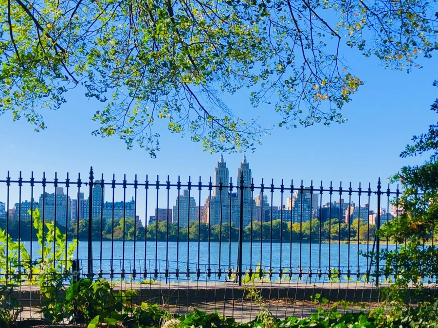 IMG_1713.jpg?type=w966