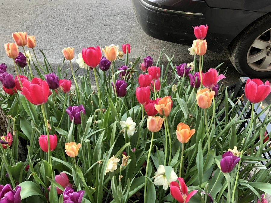 IMG_4378.jpg?type=w966