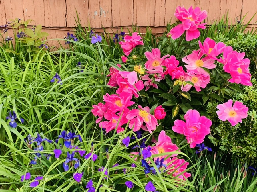 IMG_5251.jpg?type=w966