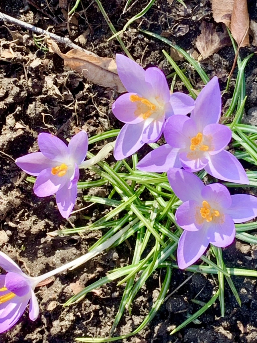 IMG_7042.jpg?type=w966