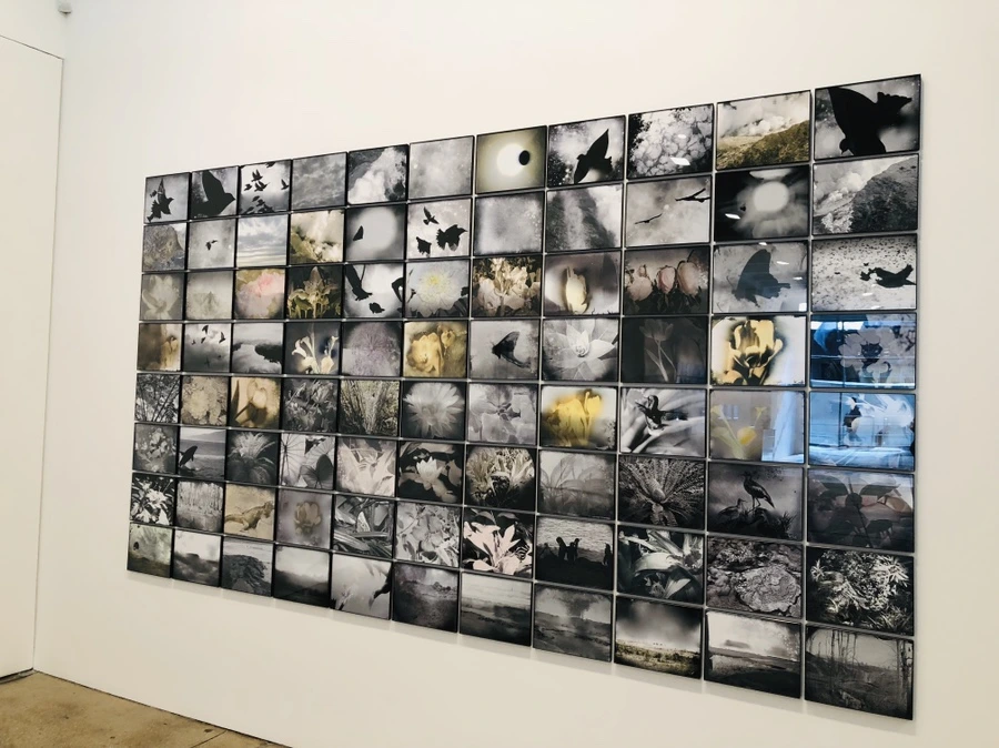 IMG_9438.jpg?type=w966