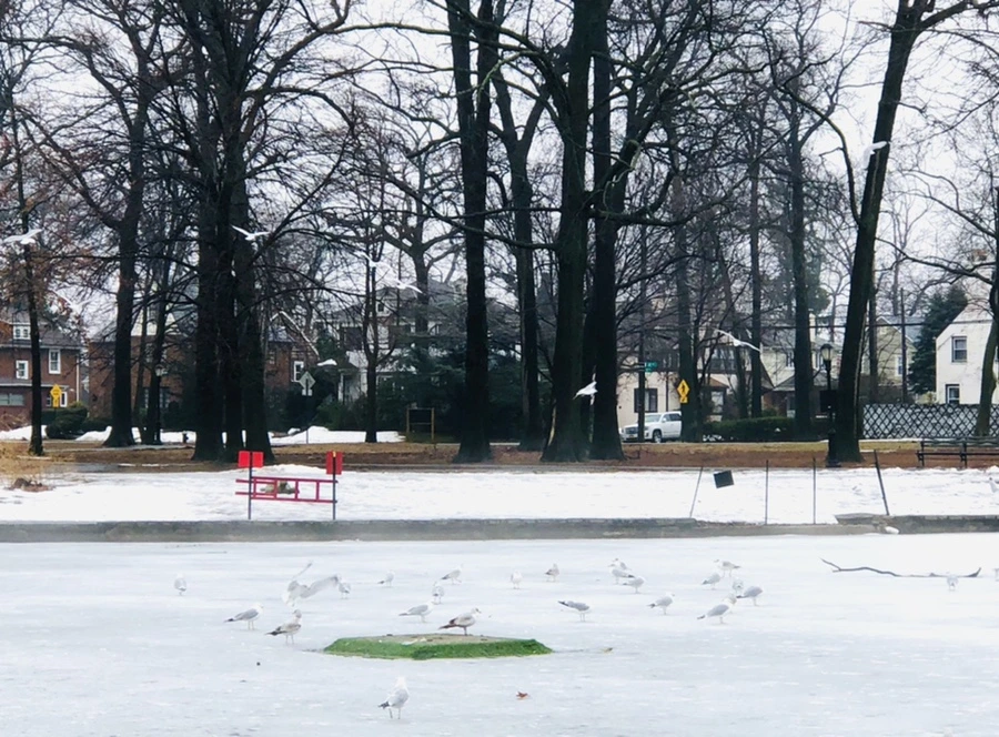 IMG_5742.jpg?type=w966