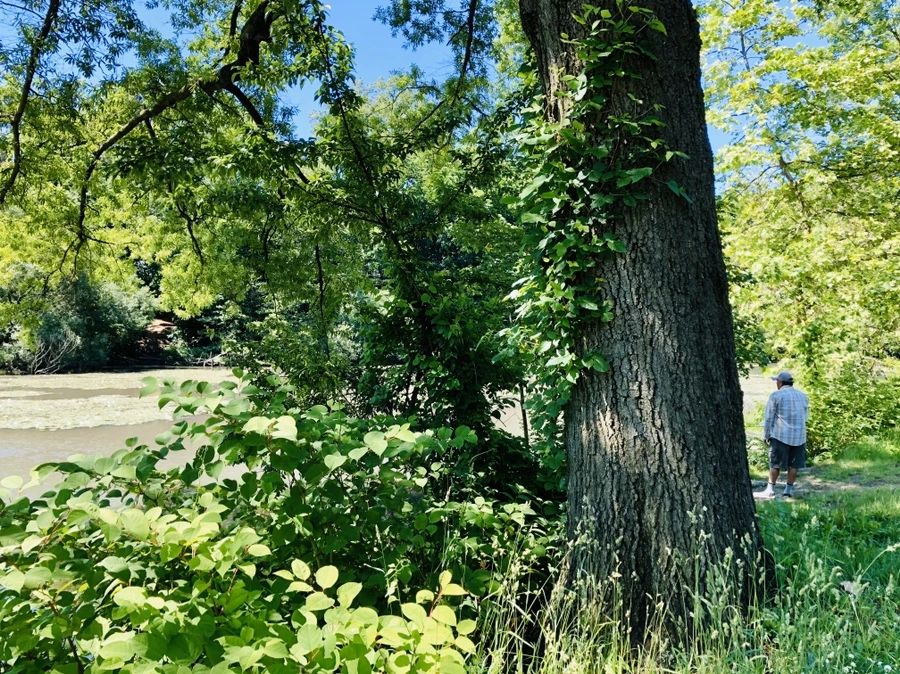 IMG_8551.jpg?type=w966