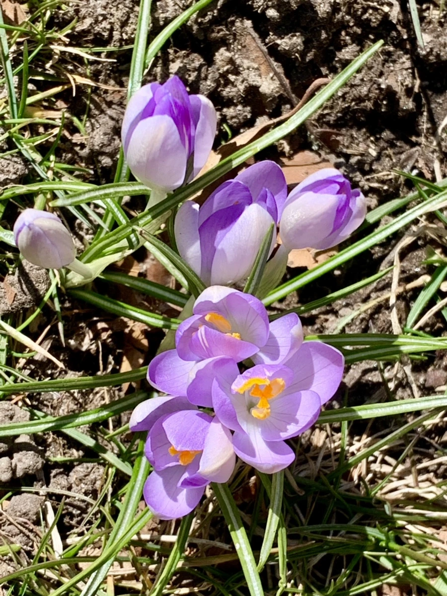 IMG_8201.jpg?type=w966