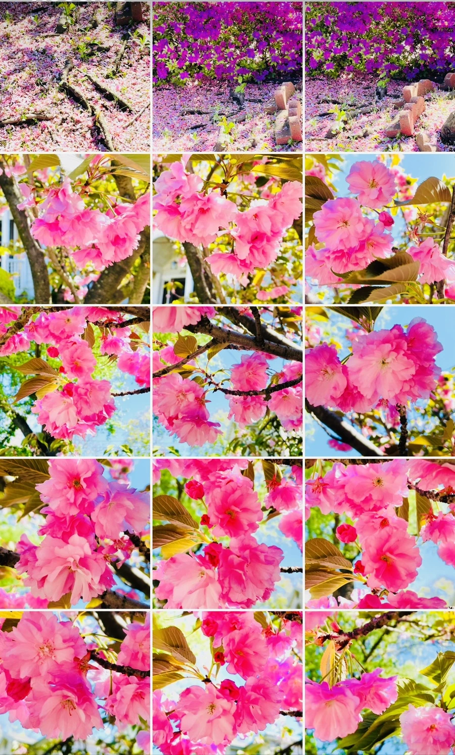 IMG_6062.jpg?type=w966