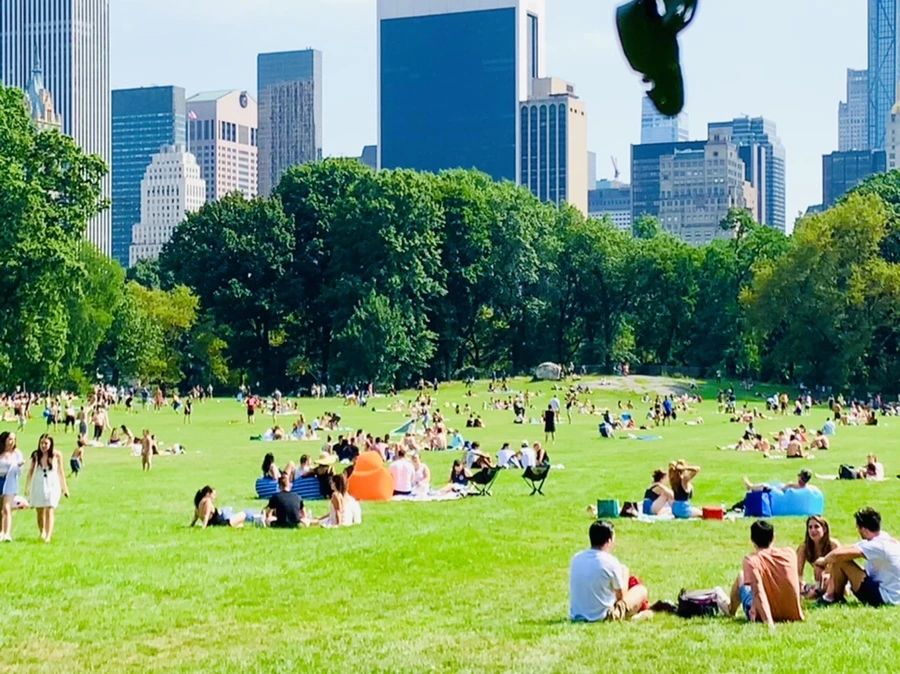 IMG_0608.jpg?type=w966