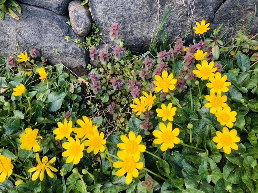 IMG_6552.jpg?type=w966