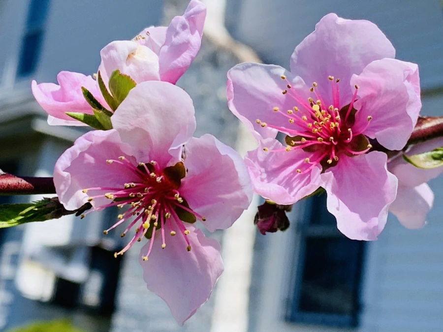 IMG_8178.jpg?type=w966