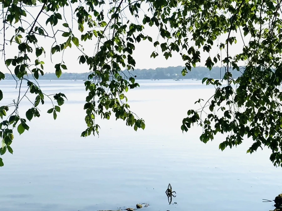 IMG_2059.jpg?type=w966