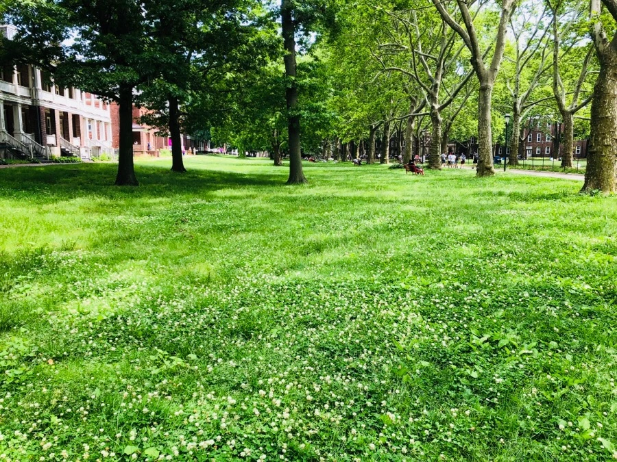 IMG_7415.jpg?type=w966