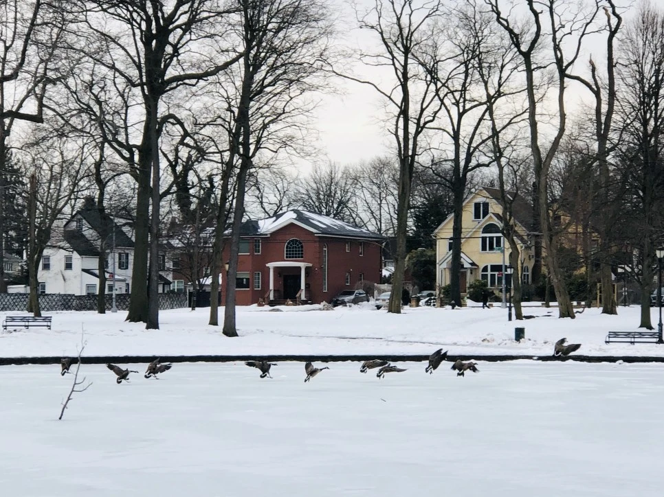 IMG_4469.jpg?type=w966