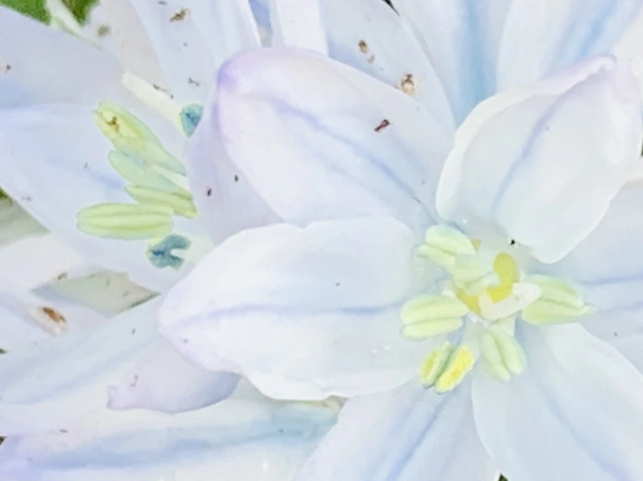 IMG_4127.jpg?type=w966